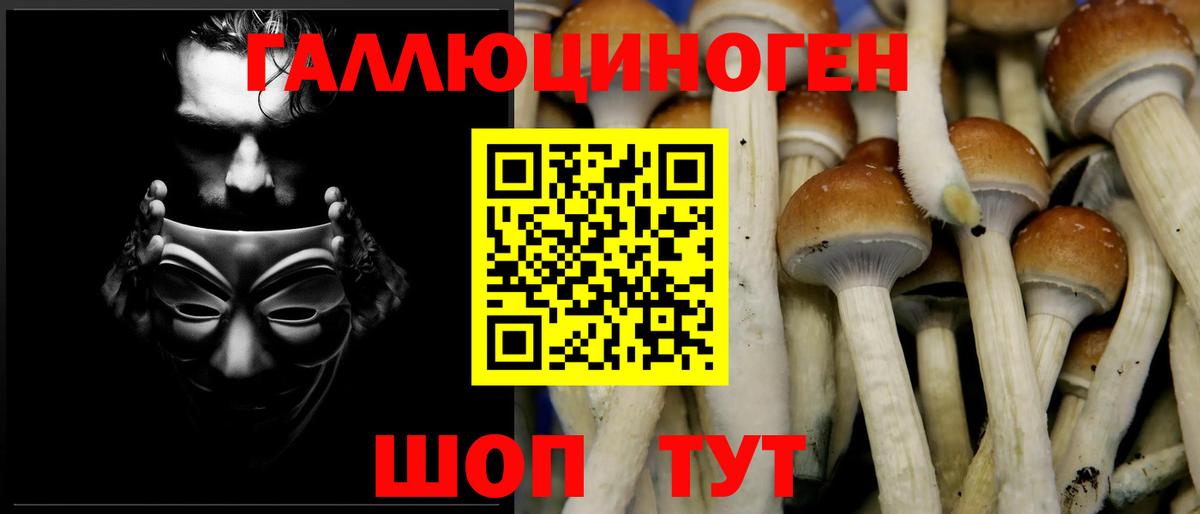 Каменск-Шахтинский  Псилоцибиновые грибы ЛСД  Вход с VPN  Псилоцибиновые грибы Psilocybe 